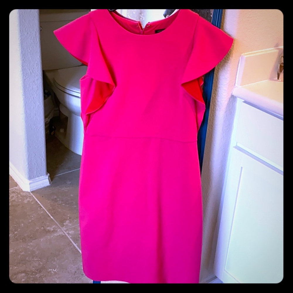 Ann Taylor Pink Ruffle Sleeve Sheath Dress
